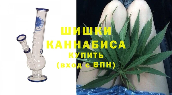 индика Бугульма