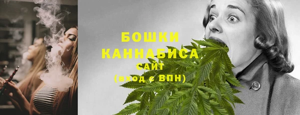 ALPHA PVP Новозыбков