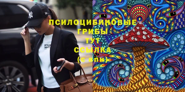 эйфоретик Нязепетровск