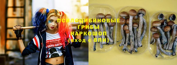 гашиш Няндома