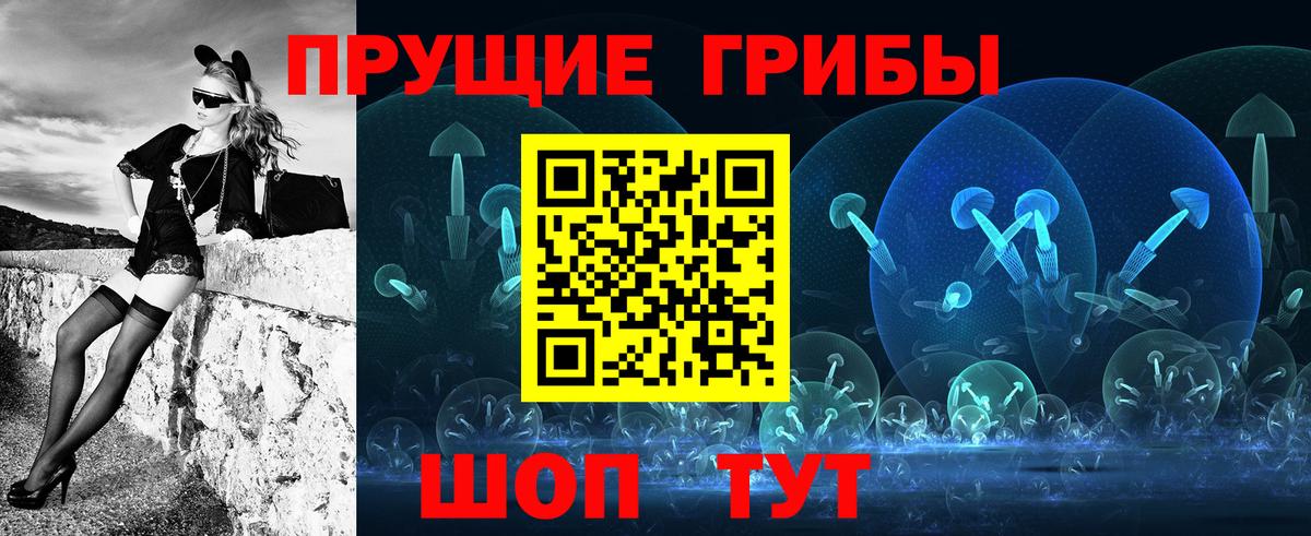 закладки  Нарткала  Псилоцибиновые грибы Psilocybine cubensis 