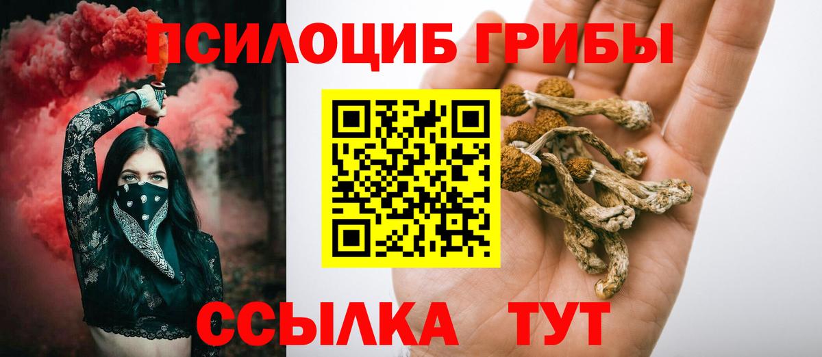 Нарткала  Псилоцибиновые грибы мухоморы  Галлюциногенные грибы GOLDEN TEACHER  Вход с VPN 